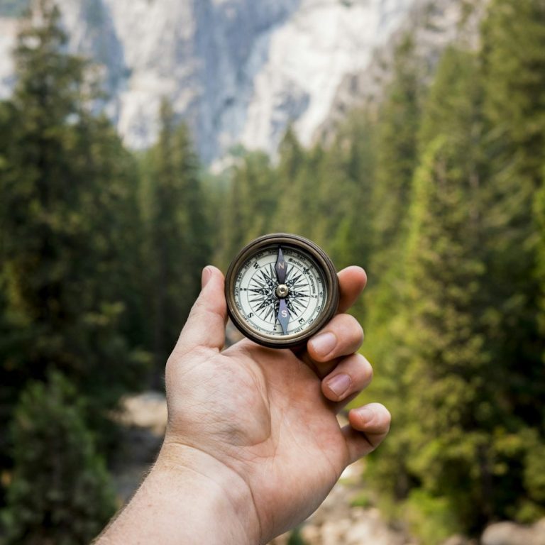 Coaching Prozess Jeder Coaching Prozess benötigt einen Kompass- deiner wird dein Herz sein.